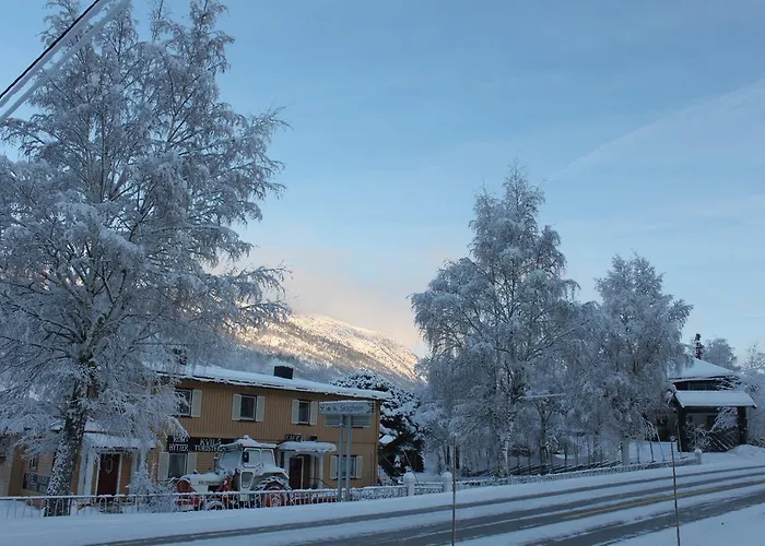 Kvila *